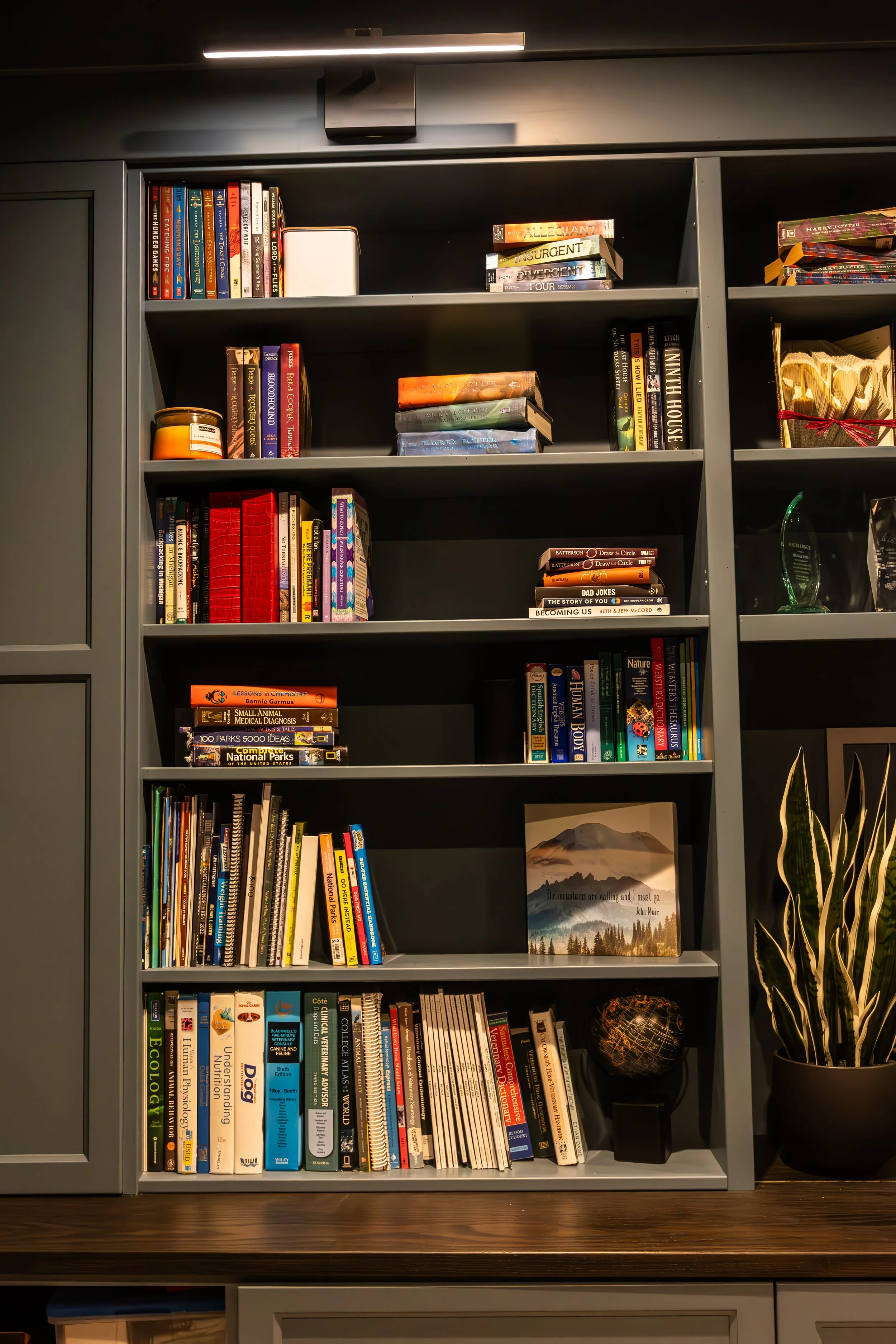 Trailblazer Cabinet Pics-18.jpg