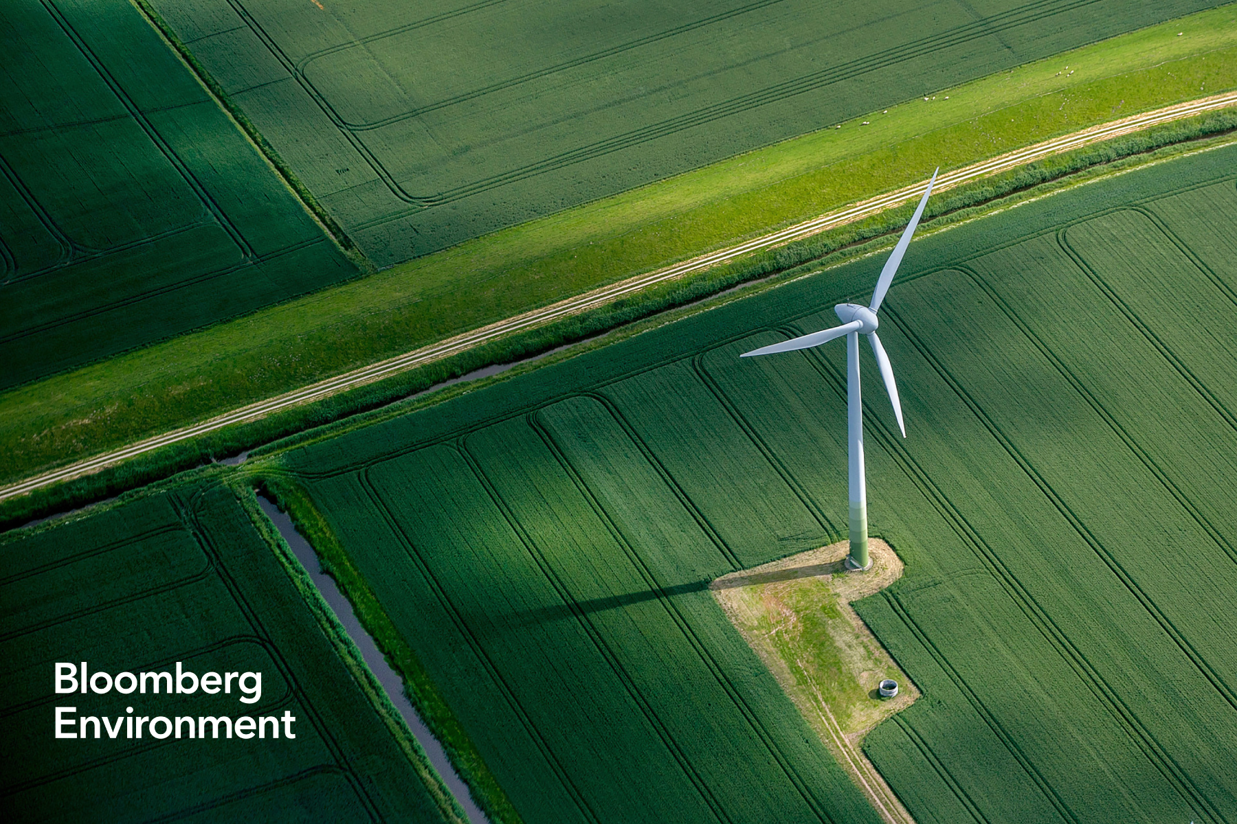 Bloomberg Environment