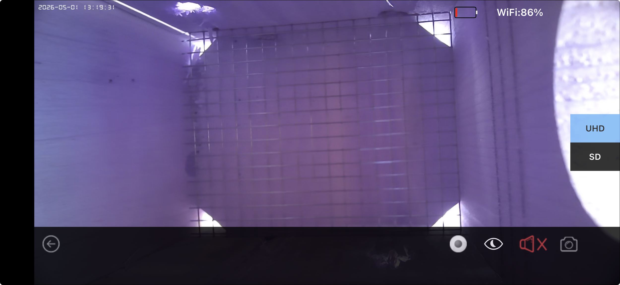 Waiting for some action in the new Bird Nest Cam