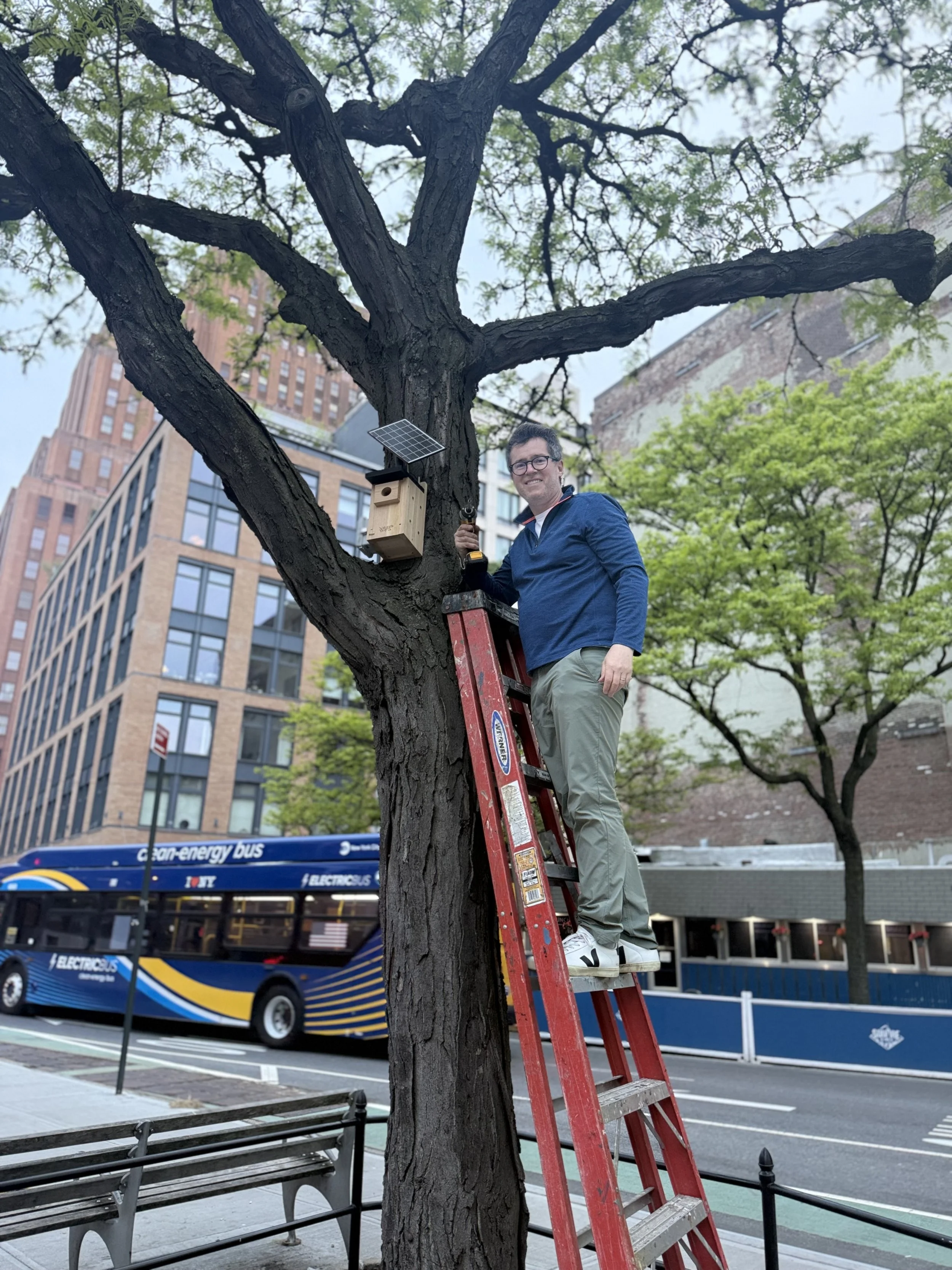 Installing the Bird Nest Cam