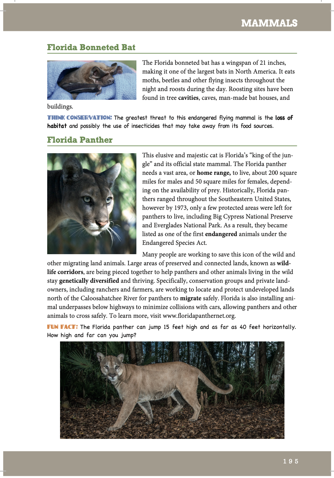 32 Screen Shot 2023 Mammals.png