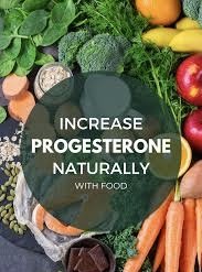 How to Make the Anti-Aging Hormone / Fertility Hormone, ‘Progesterone’ - with Diet and Lifestyle.