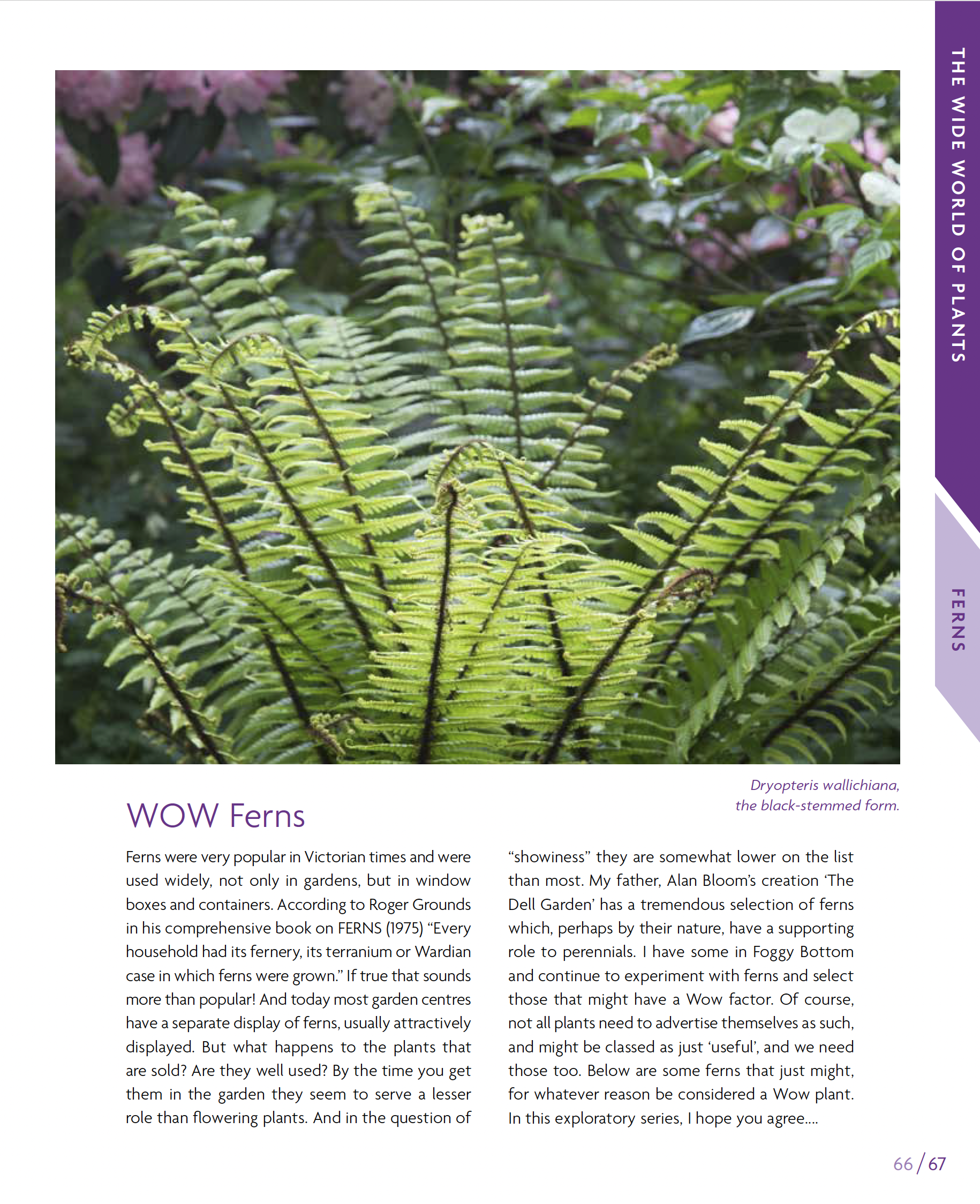 Screenshot 2026-02-10 at 13.29.57.png