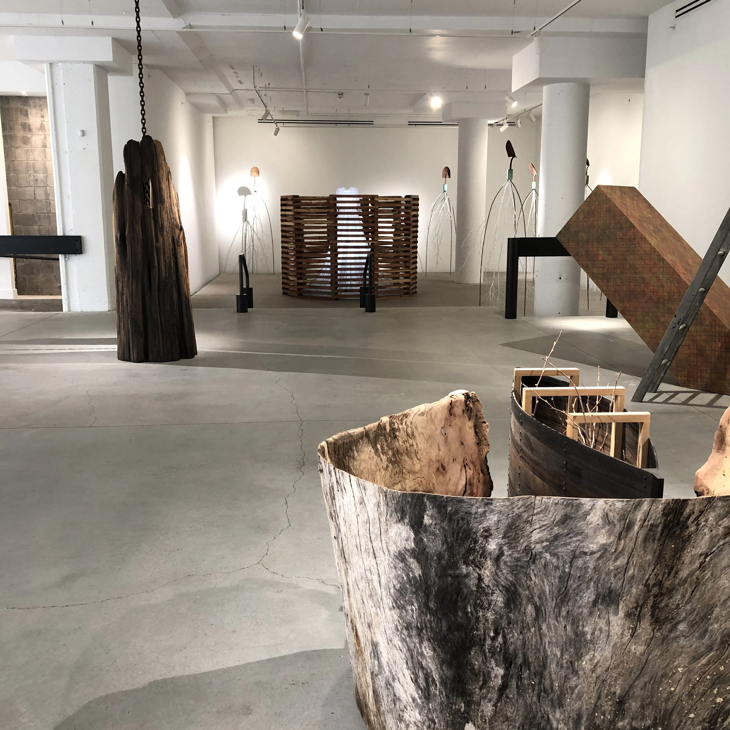 Services — Jack Larimore