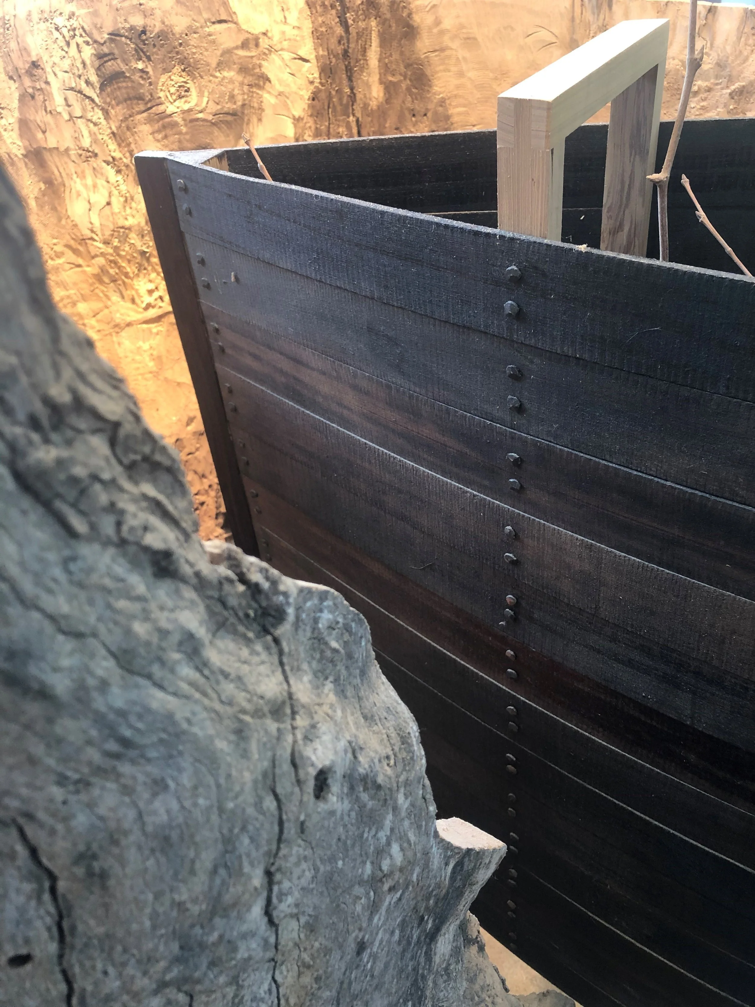 Sycamore Story detail 01.jpg