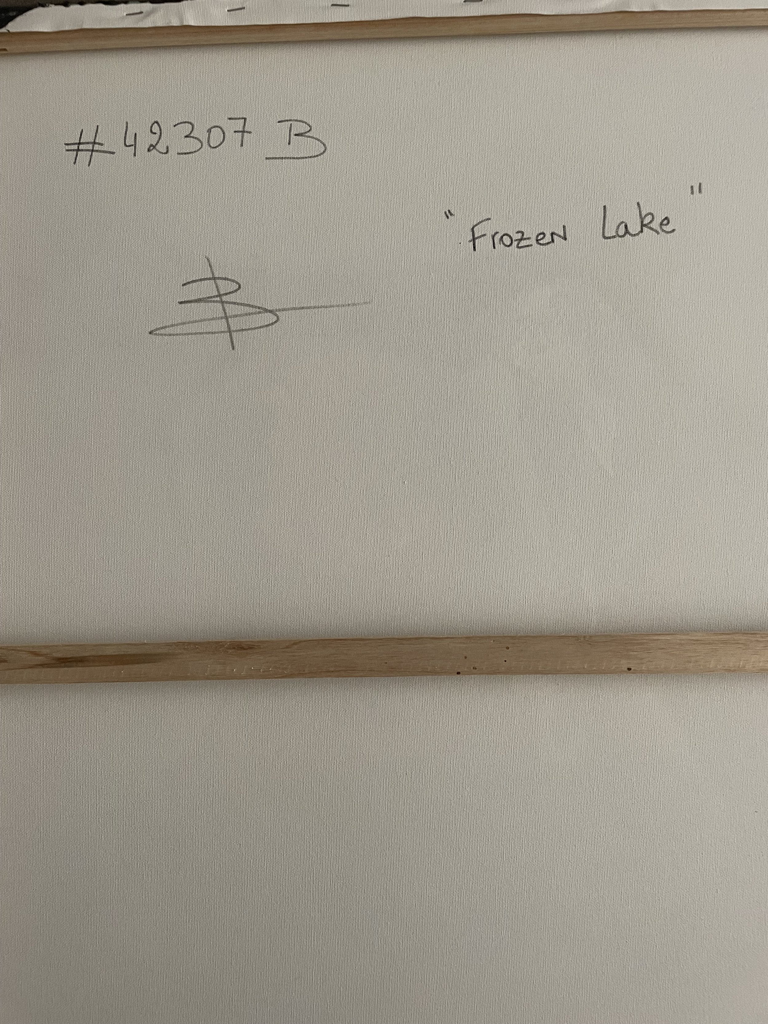 Frozen Lake (15).jpeg