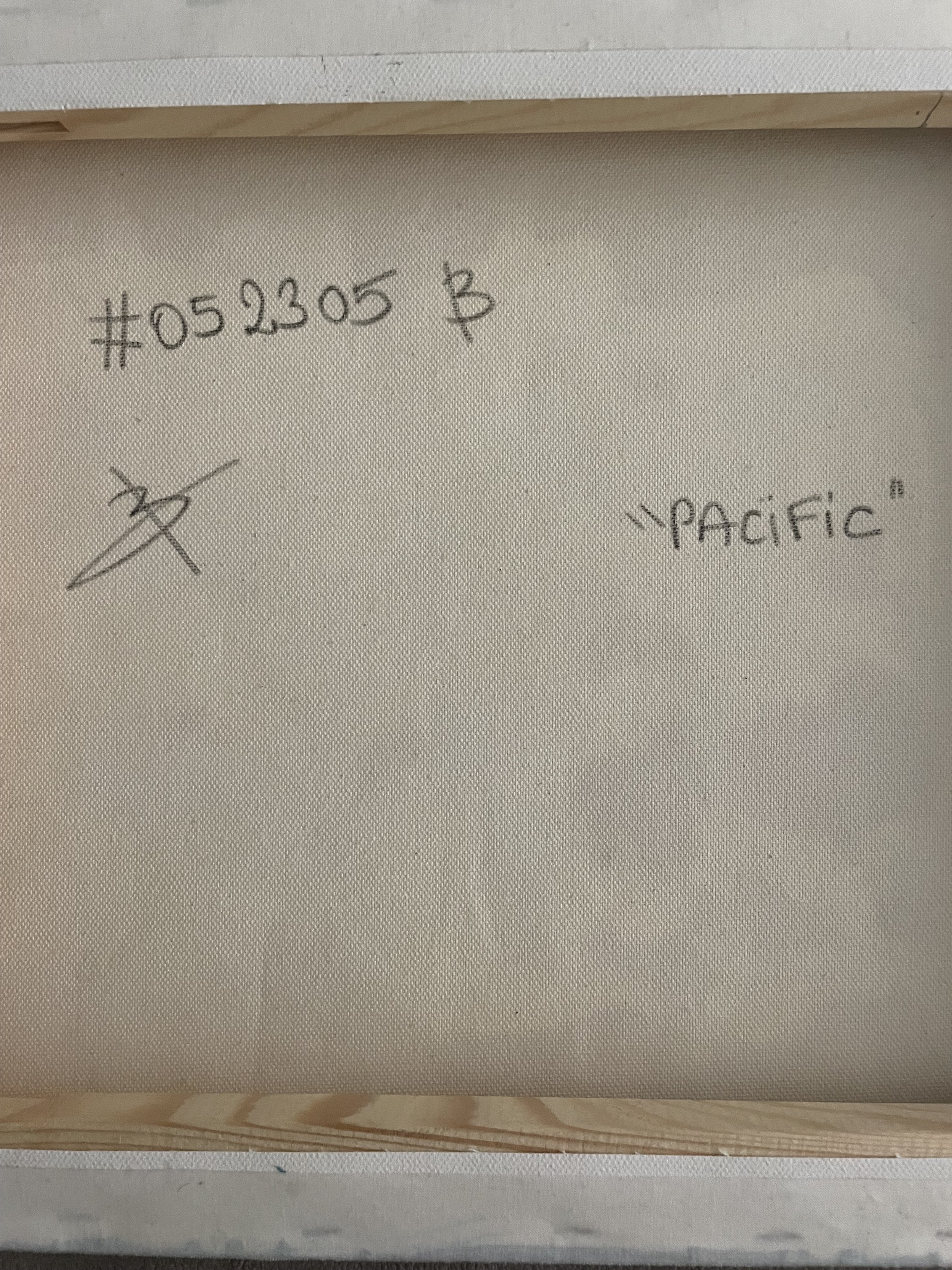 Pacific (14).jpeg