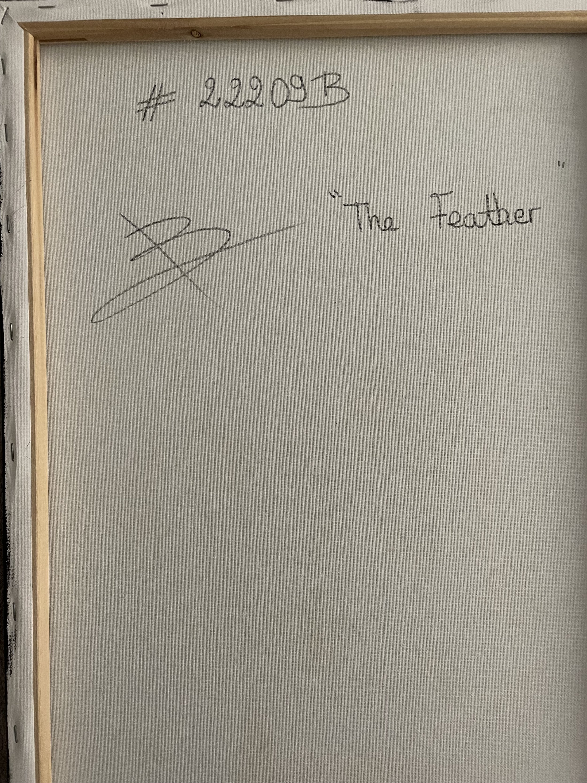 Feather (16).jpeg
