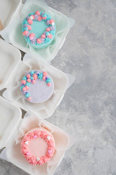 bento-cake-different-small-cake-in-lunchbox-asian-food-trend-cute-gift-for-any-holiday (1).jpg