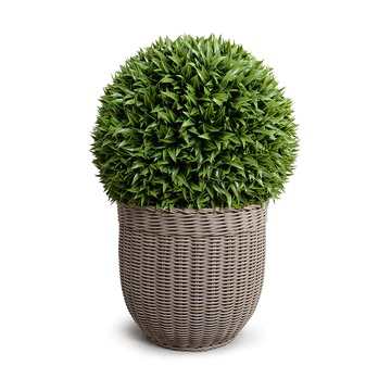 Broadleaf Podocarpus Ball in Synthetic Rattan.png