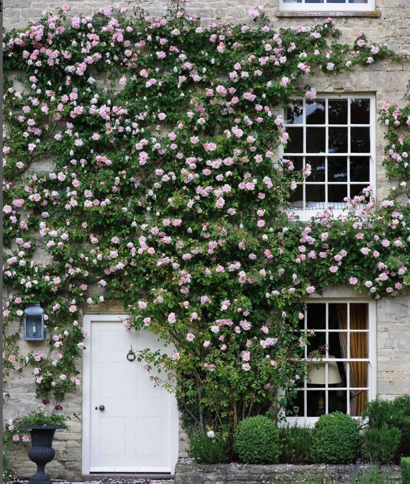 I believe in Pink too Audrey! ⁠
⁠
Beautiful photo | Britt Willoughby Dyer | @houseandgardenuk⁠
⁠
#styledbyark #styleinterior #⁠bostoninteriordesign⁠
#interiordesignlover #classicinterior #stylishliving #classic #designstyle #interiorinspiration #home