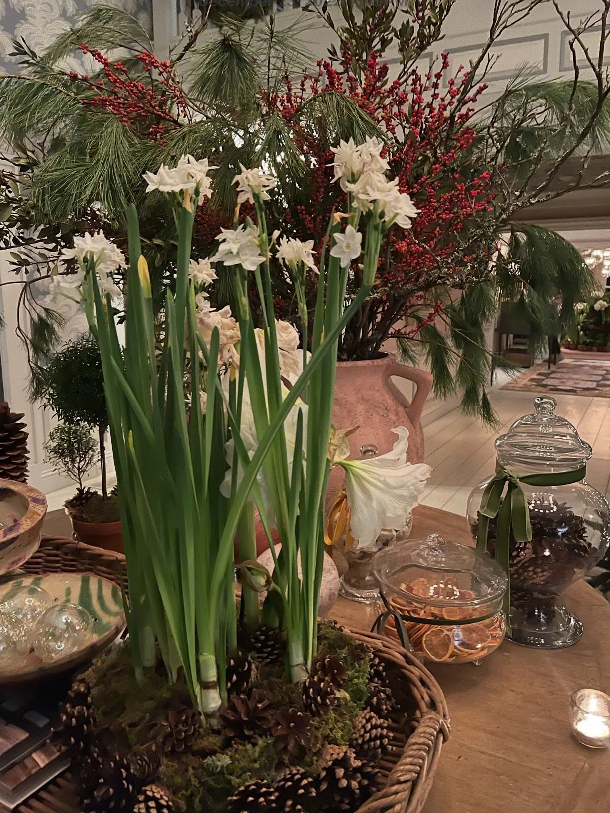 Paperwhites&hellip; my favorite of the season! A symbol of hope and cheer! 

Since I always want them to bloom the week of Christmas, I try to have them purchased by now and plant them before the 15th.  I love to pick the container(s) too! 

Enjoy th