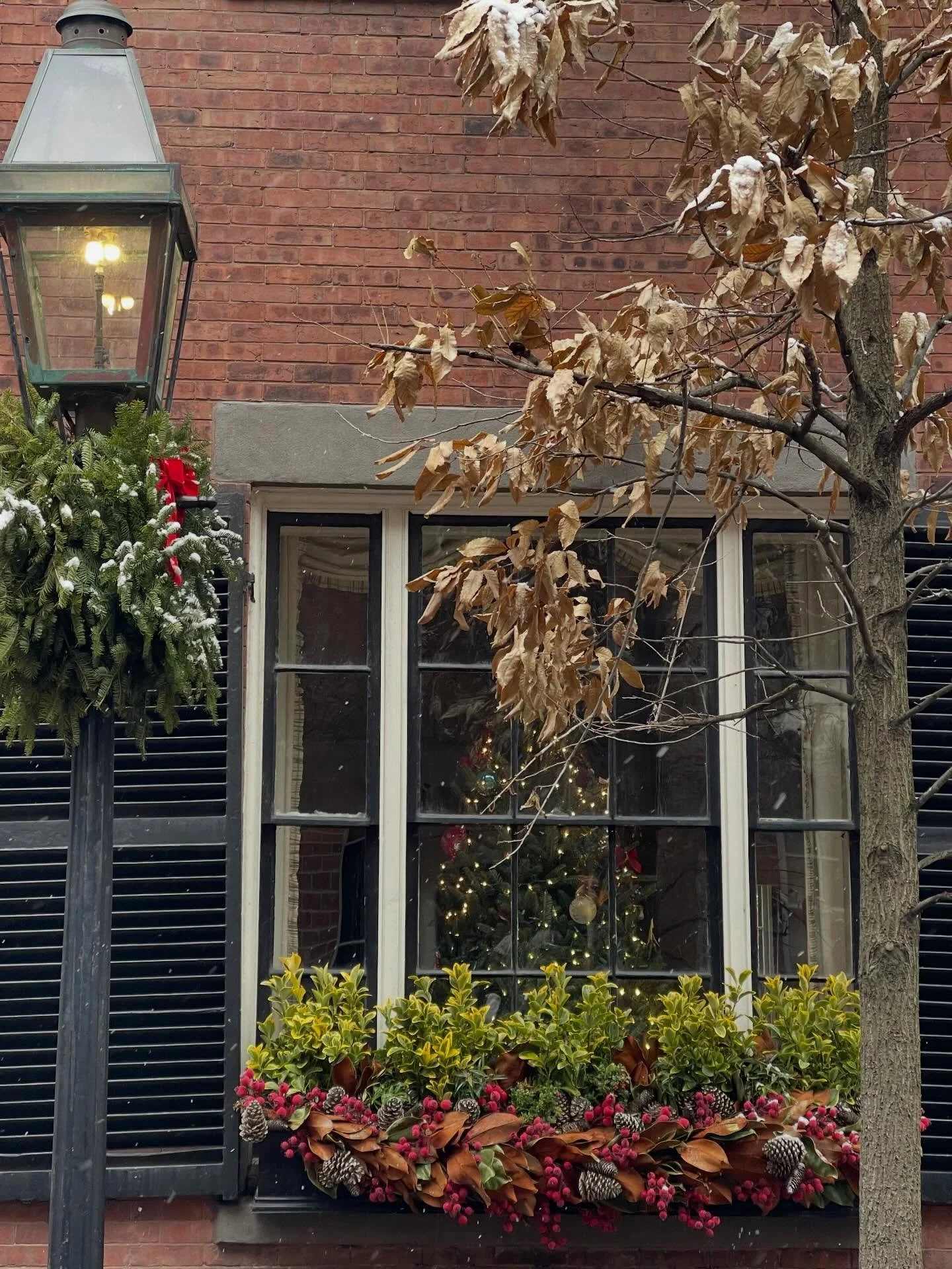 Walking through Beacon Hill is simply good for the soul. 

I love when Mother Nature shows up and adds her own touch of holiday magic.

#beaconhill #holidaymagic #bostoninteriordesign