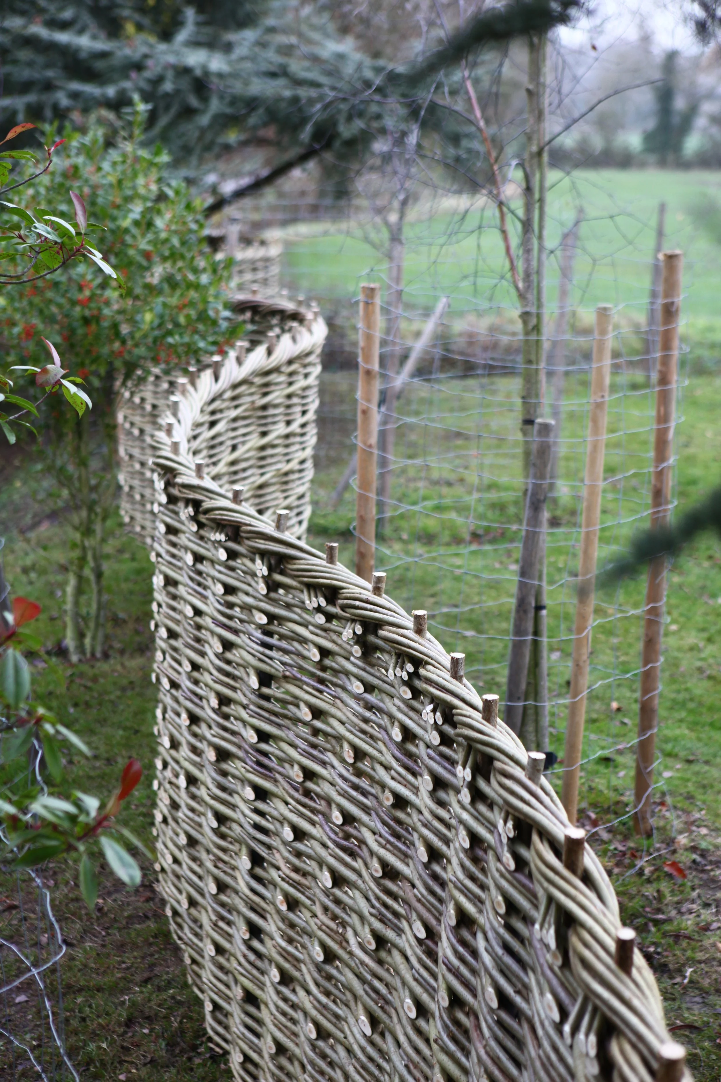 Continuous woven willow — thewovenfence