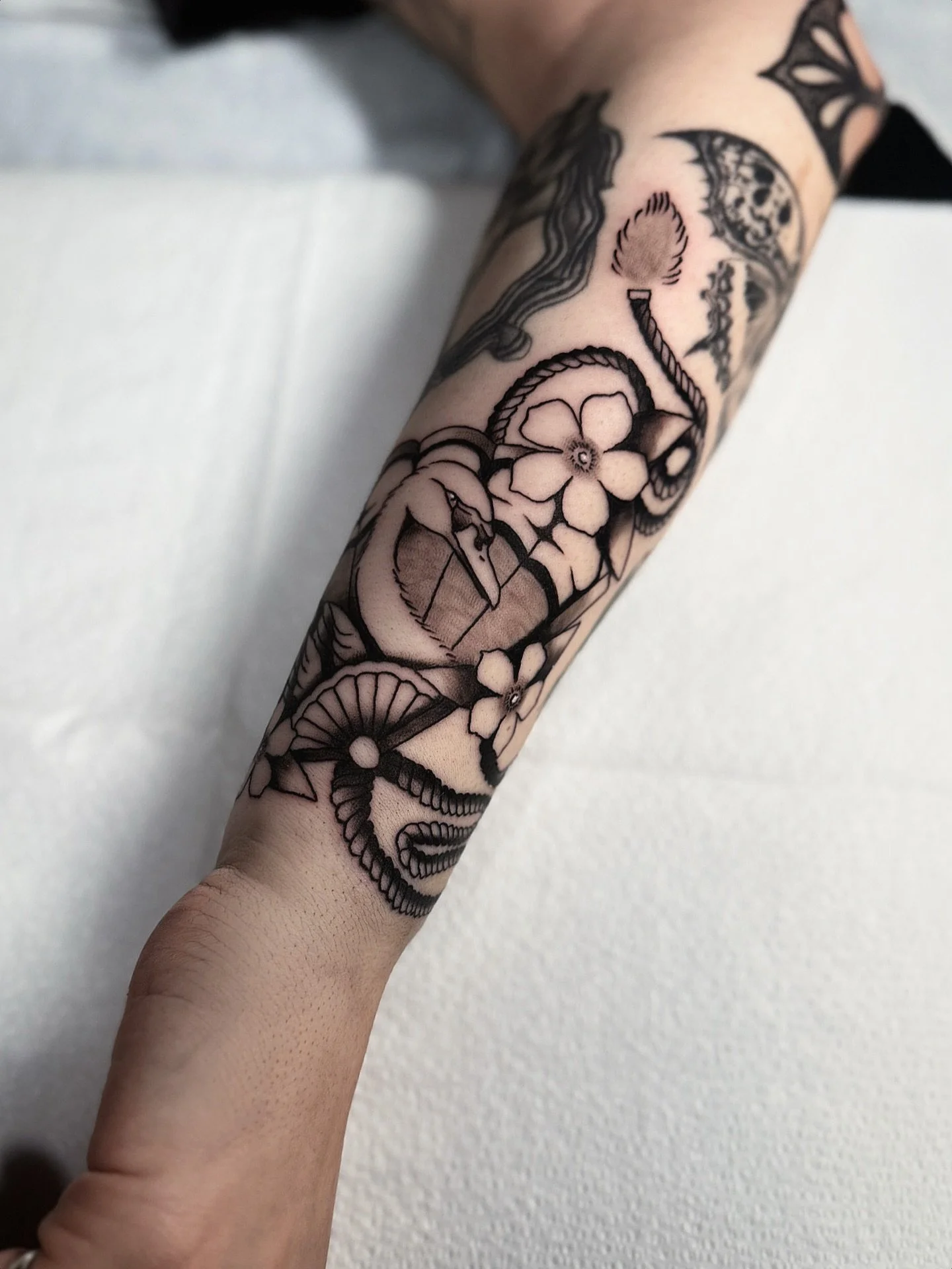 when they say they want a swan or a fan so you tattoo a swan in a fan 🧠💯

#pdxtattoo #portlandtattoo #swantattoo