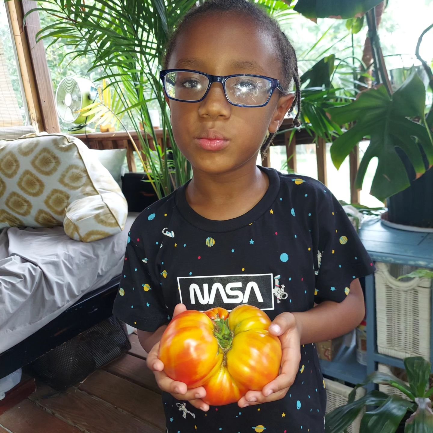 Our first slicing tomato of the season!! Can't wait to taste this Pineapple heirloom beauty!
