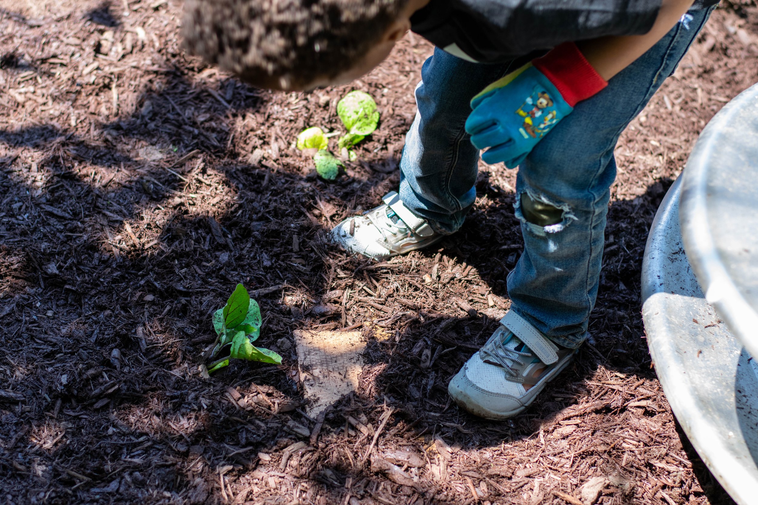 Grow & Walk Philly