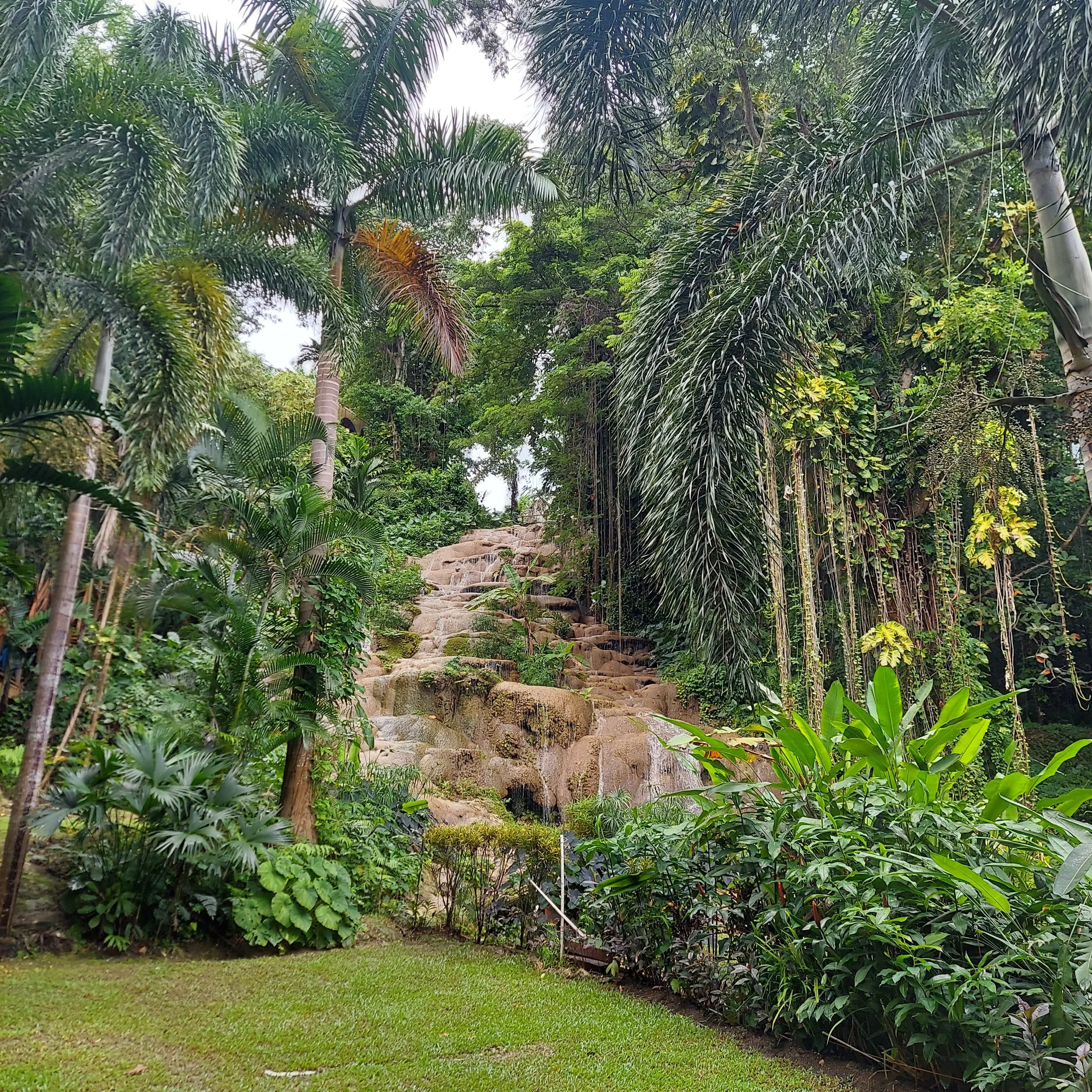 Observation as wisdom