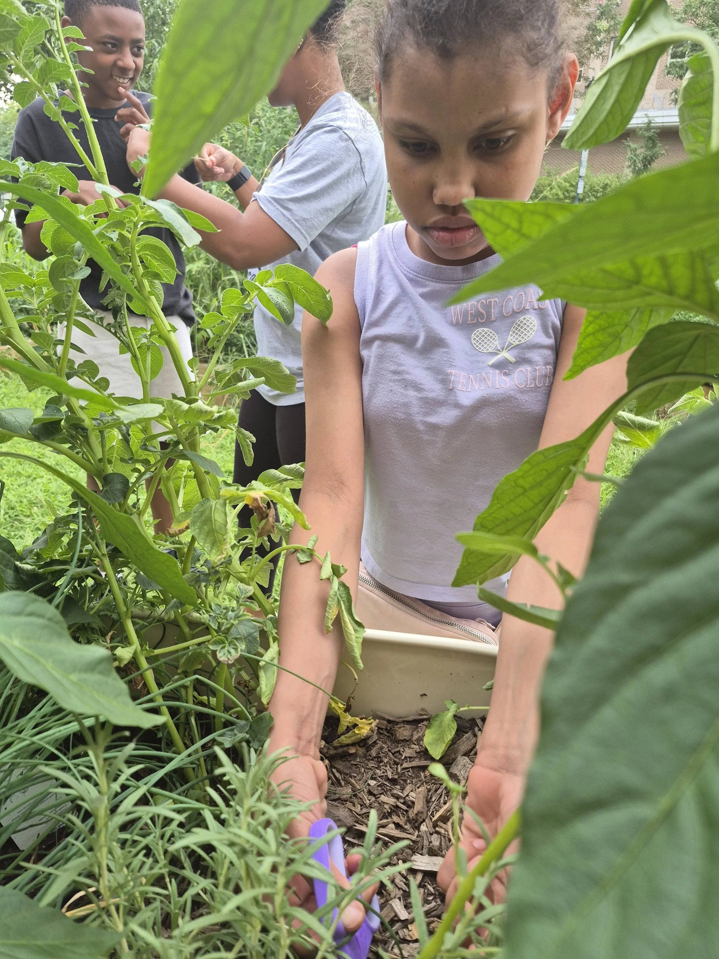 Gardeners Without Borders 