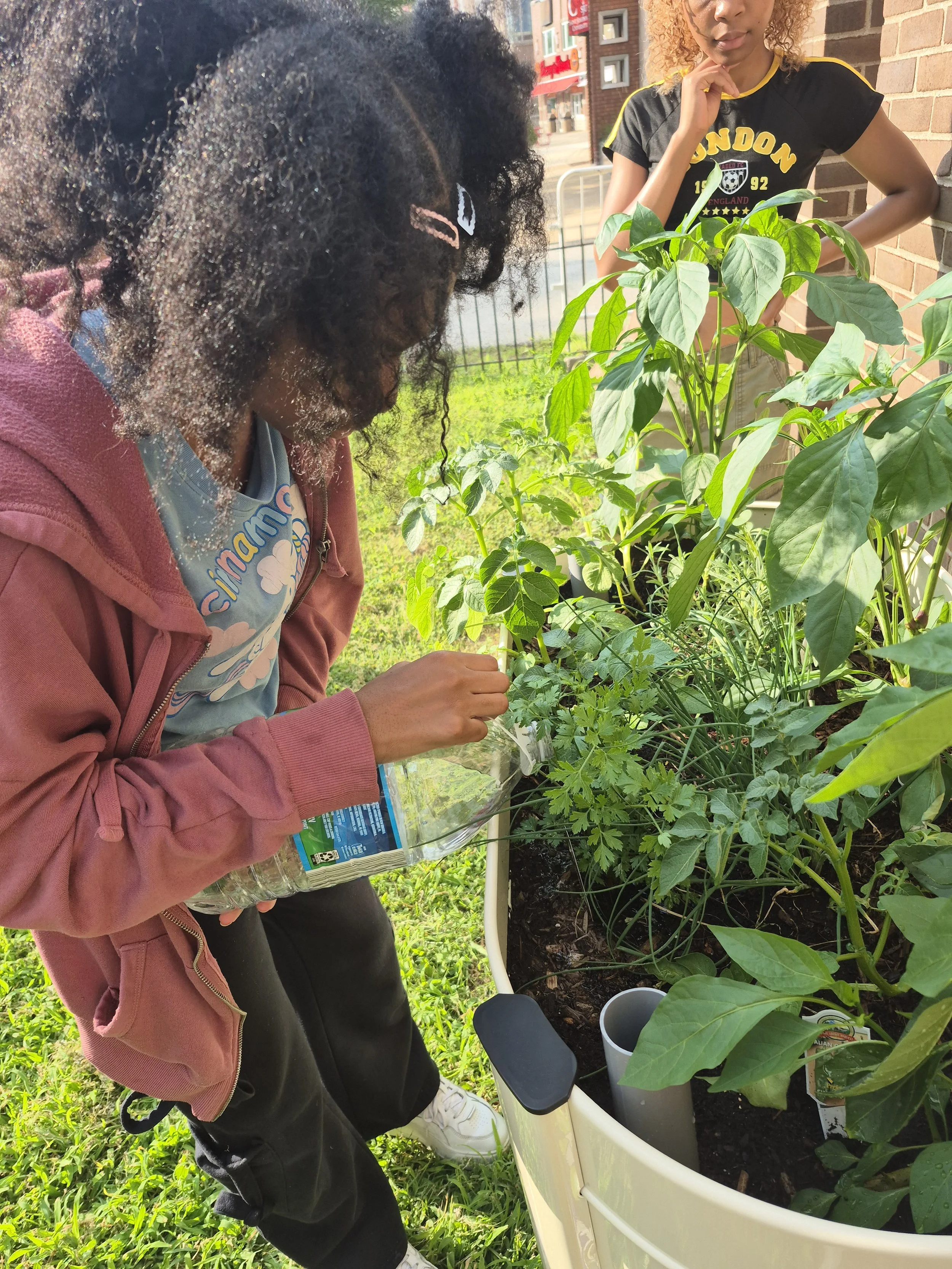 Gardeners Without Borders 