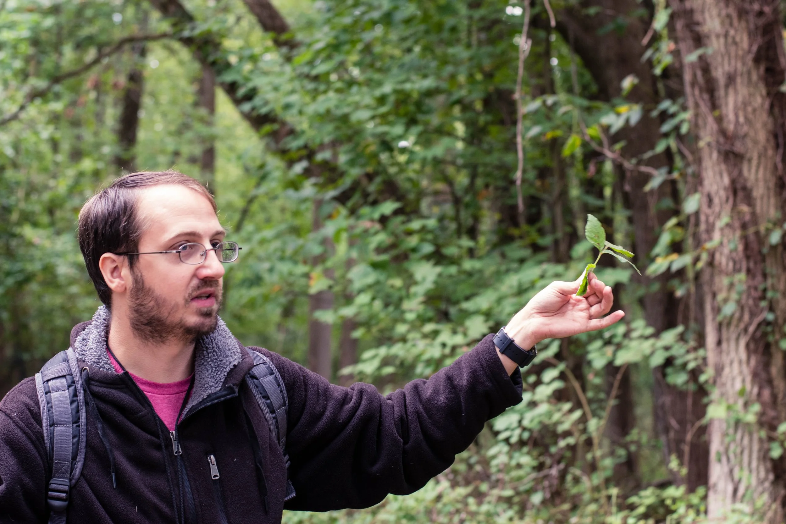 Grow &amp; Walk DelCo