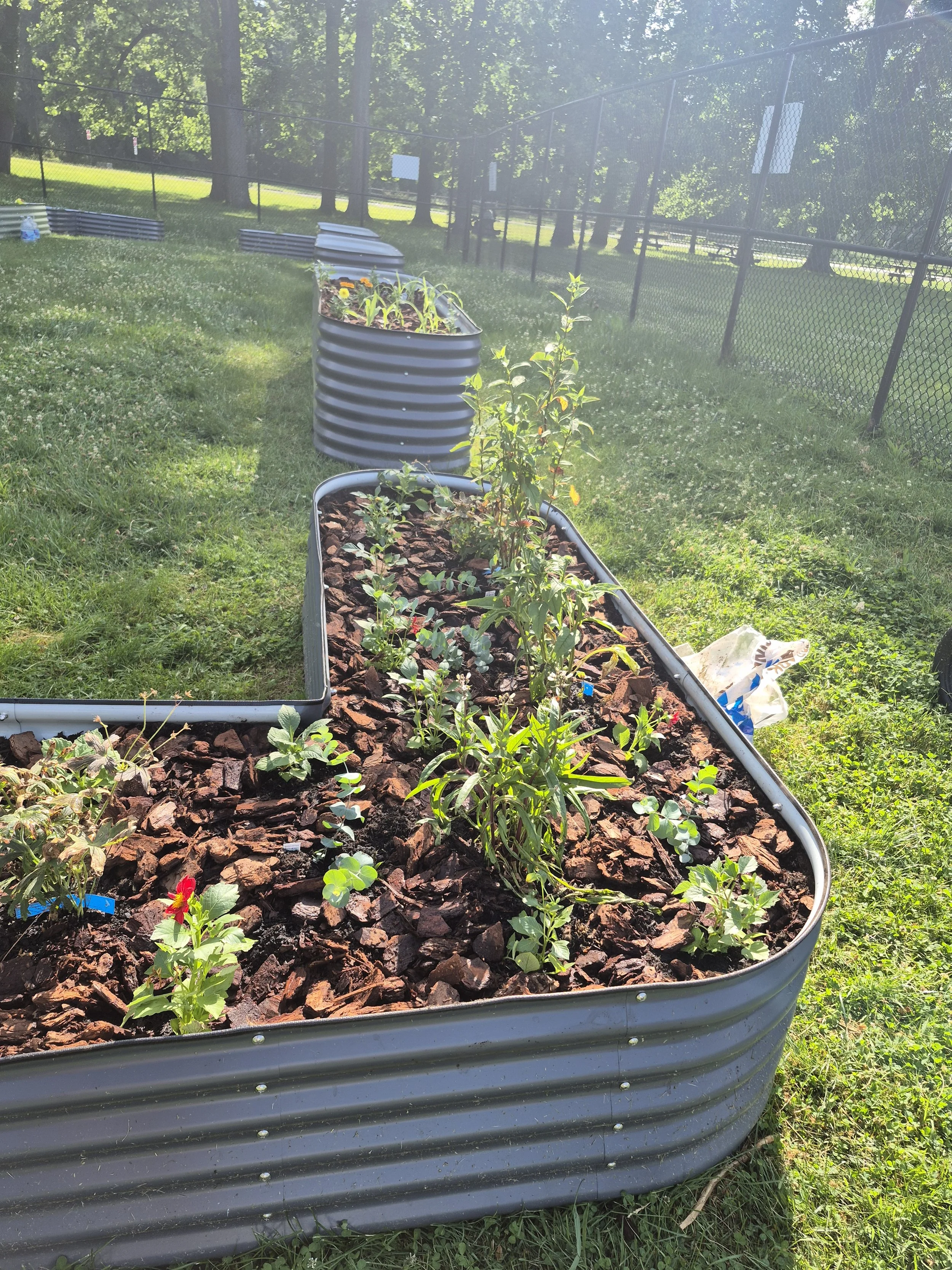 Gardeners Without Borders