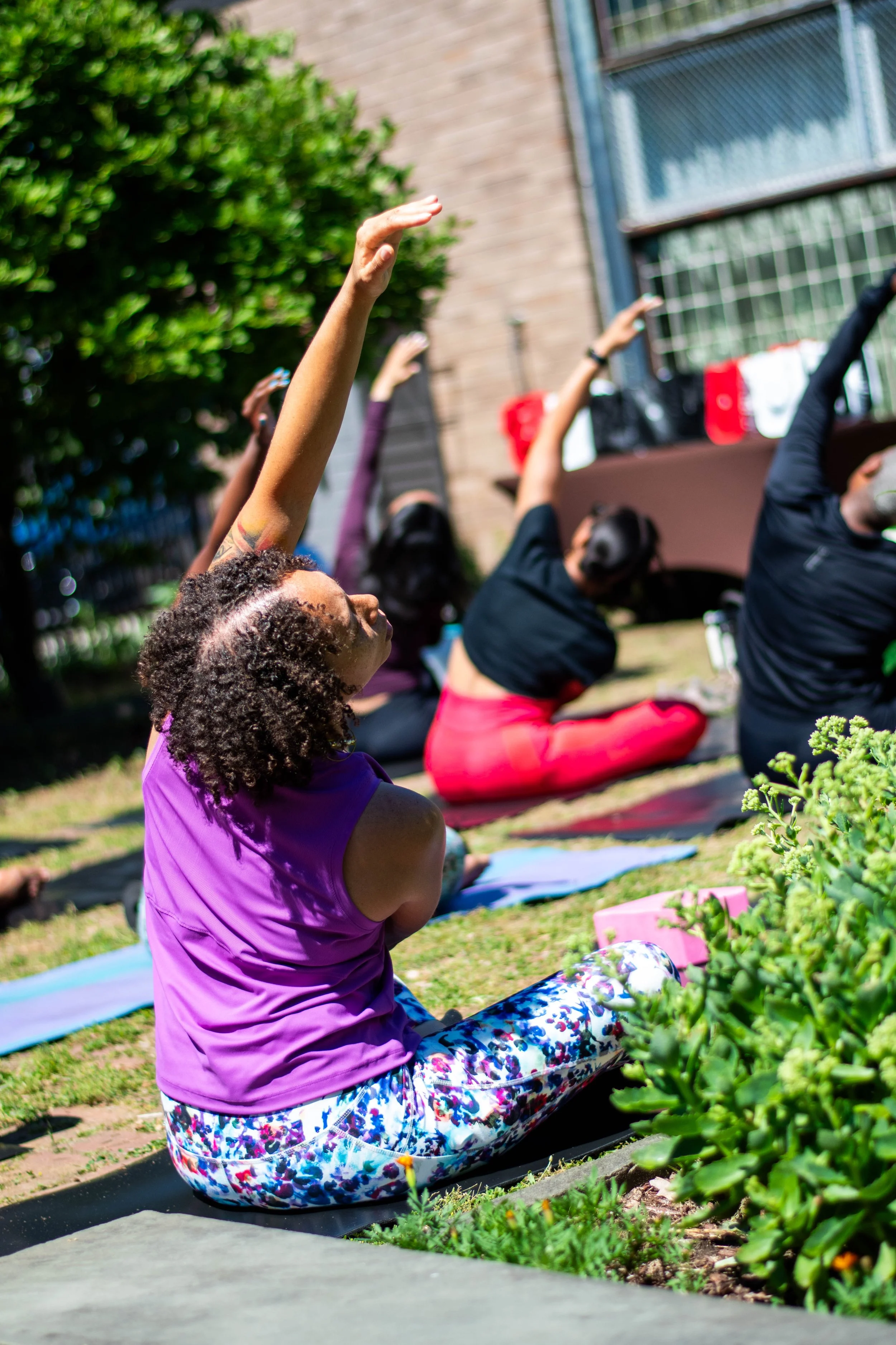 Fall Yoga Series