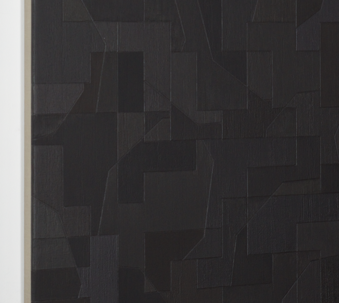 Laszlo-Otto_Creatio-formativa [With 43 Blacks][20240425], 2024, acrylic on canvas, 35.5x29.5in. [90X75cm]_8-detail.png