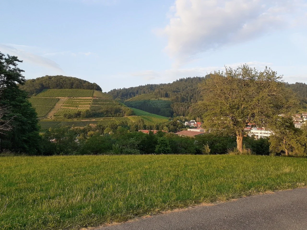 sulzburg_landschaft_2021.07.01_2.jpeg