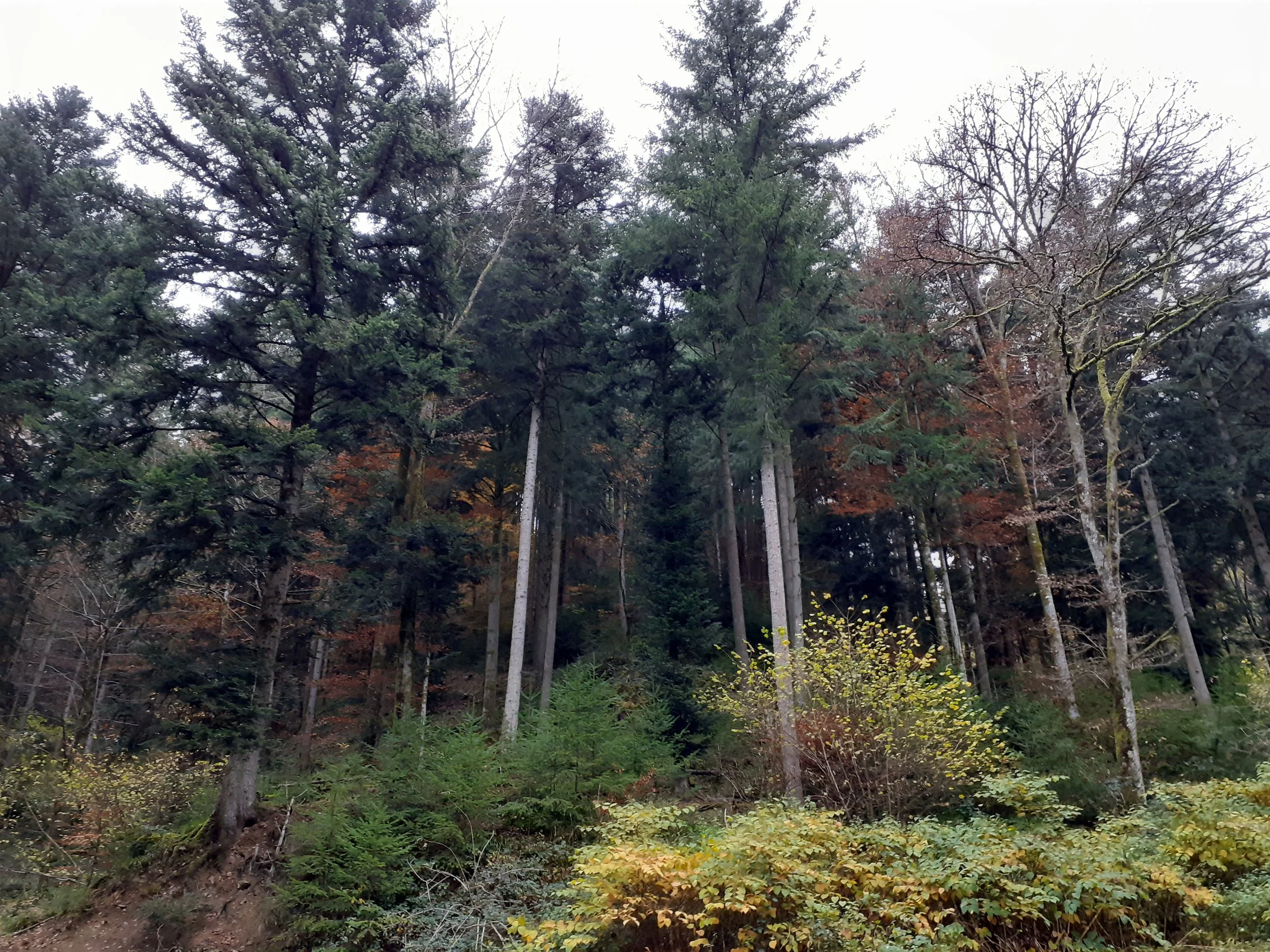 20211113_114633.jpg