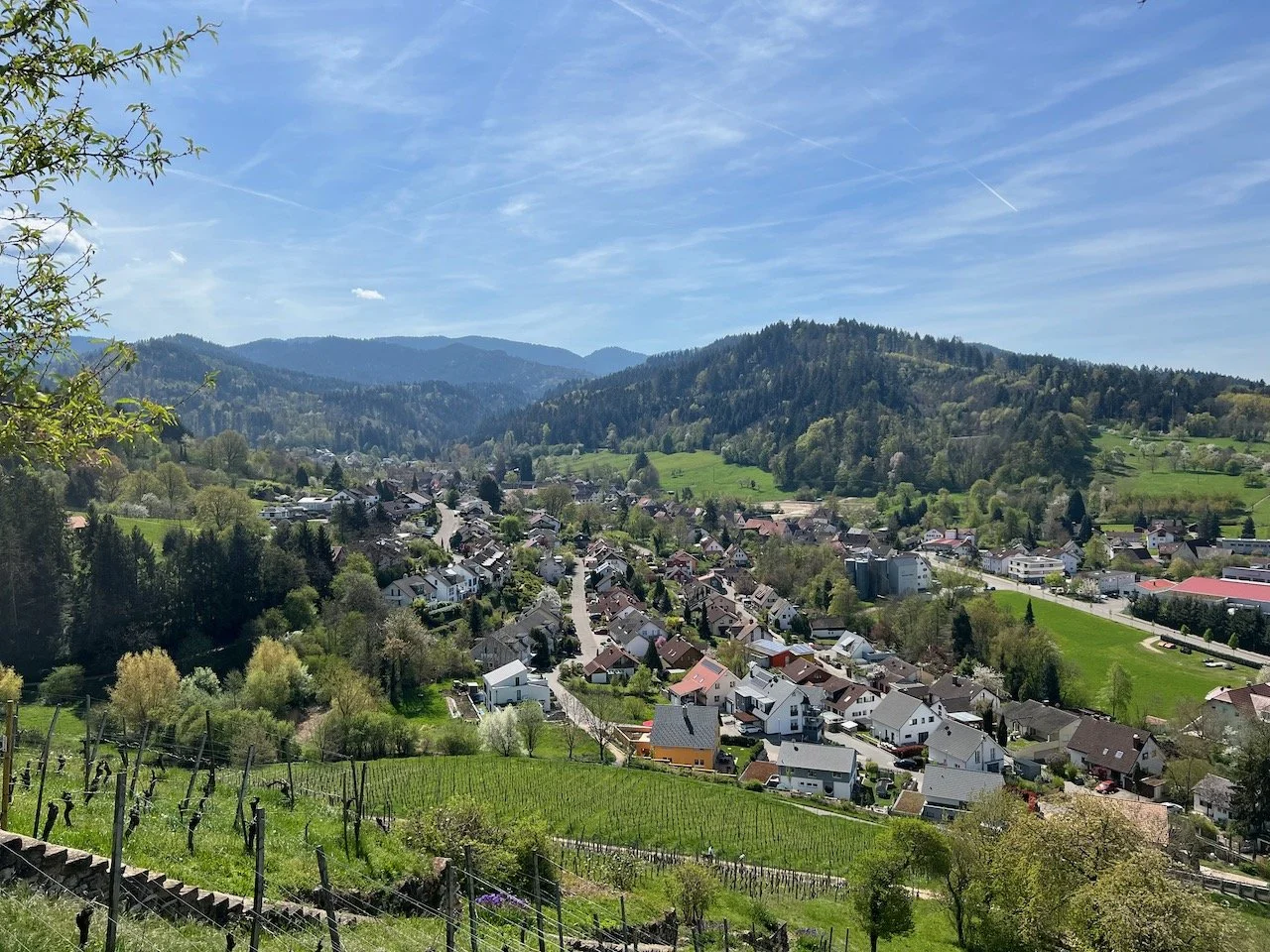 sulzburg_landschaft_2022.04.19_IMG_0467.jpeg