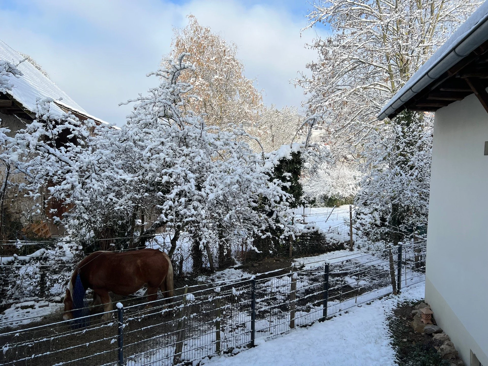 20221212_winter-sulzburg-studio.jpeg