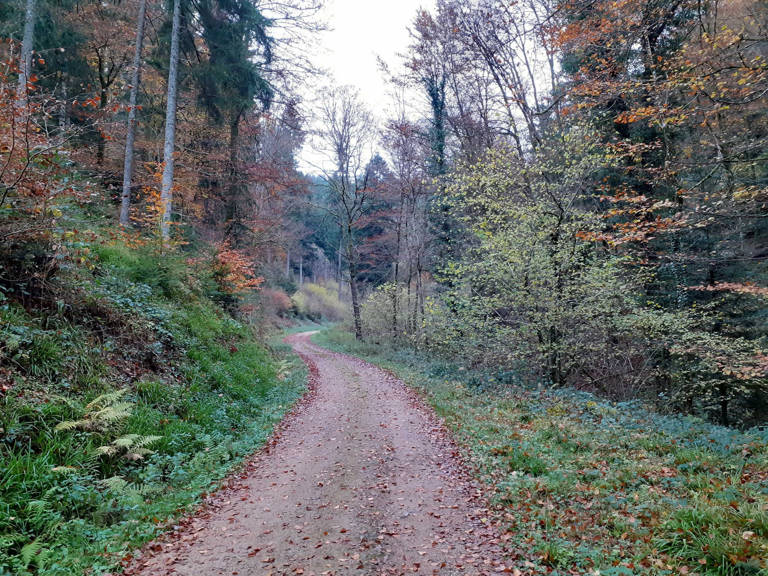 20211113_114318.jpg