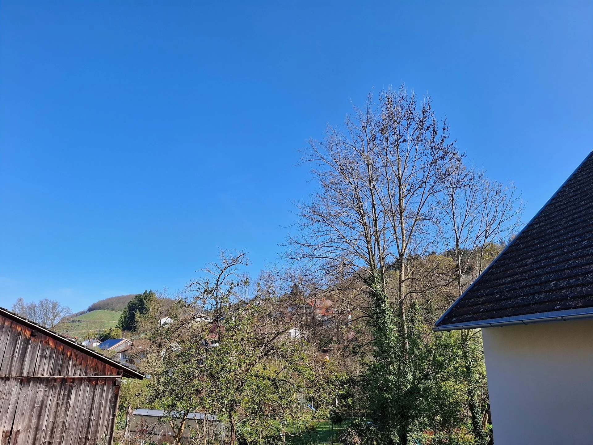 2026.04.02_Pavillon de la Forêt-Noire_Sam55_20260402_103416.jpeg