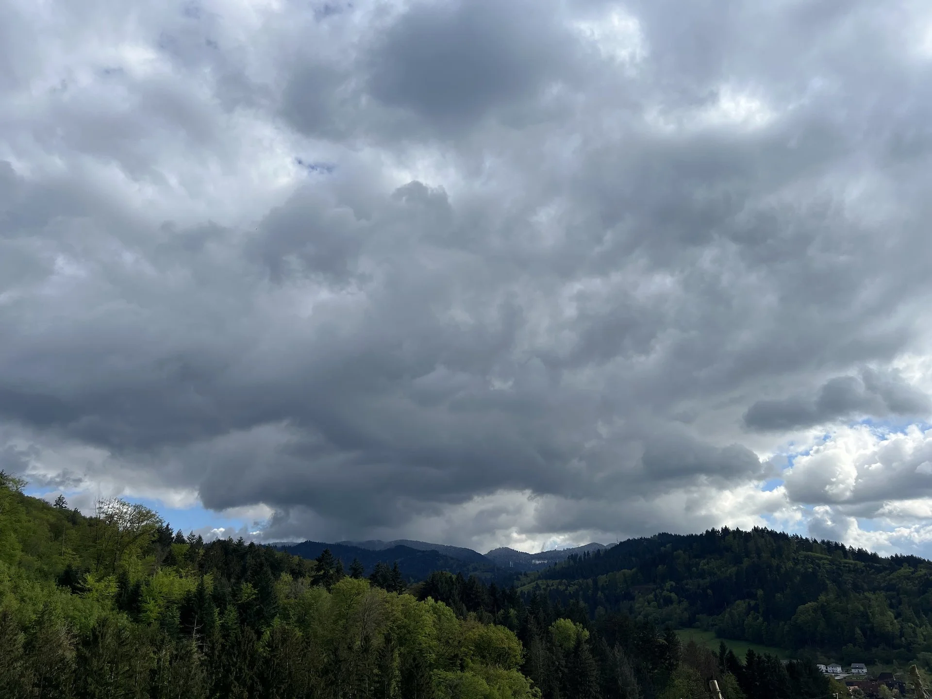 IMG_0557.jpeg