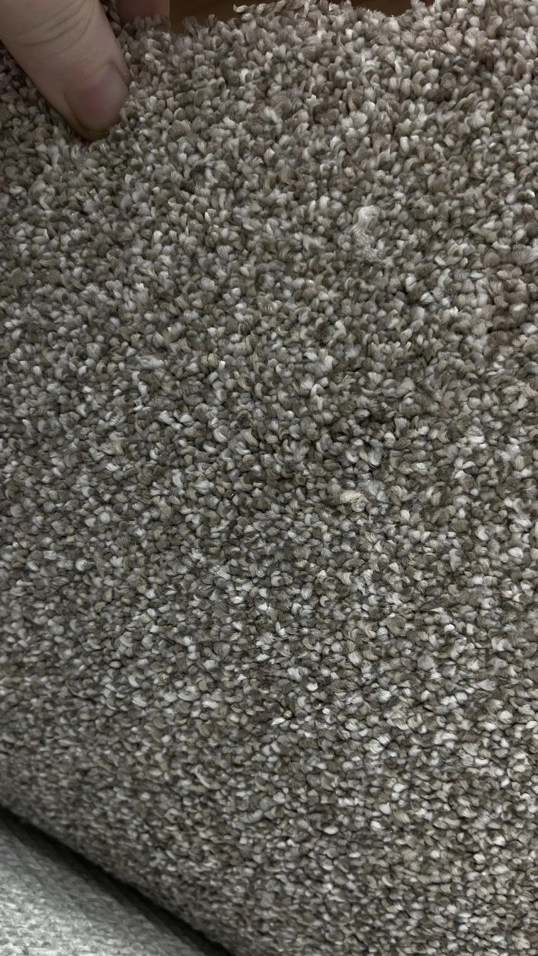 Discontinued Marquis Mega 75 Lighter color carpet