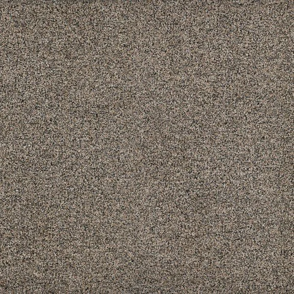 Marquis's Ross's Landing in the color Big Chill carpet