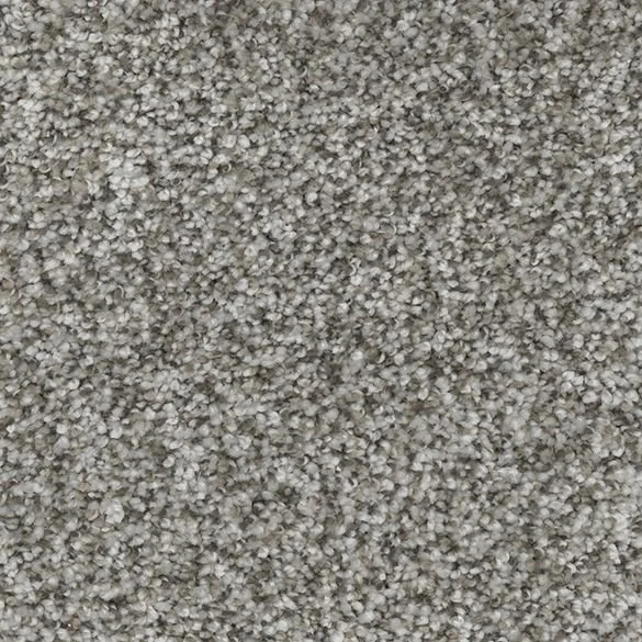 Discontinued Marquis Dream On I Sheer Mist carpet