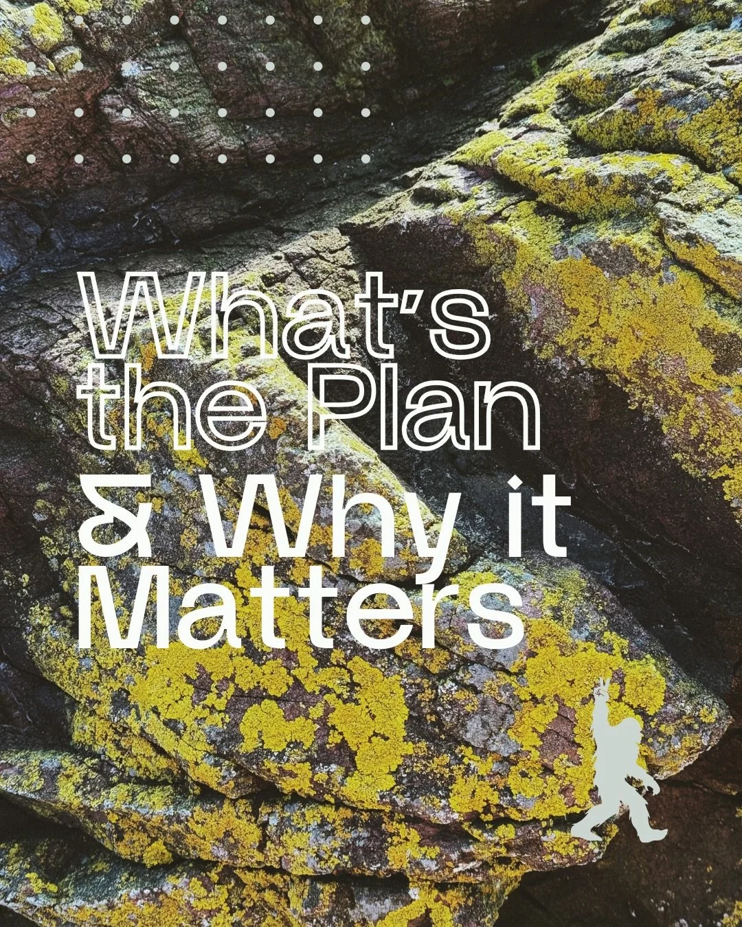 What&rsquo;s the Plan? and Why it Matters?

Because every assessment should lead back to what YOU care about most.

What are your goals? What are your expectations? and What do we need to put together for you to get there?

If we can clearly answer t