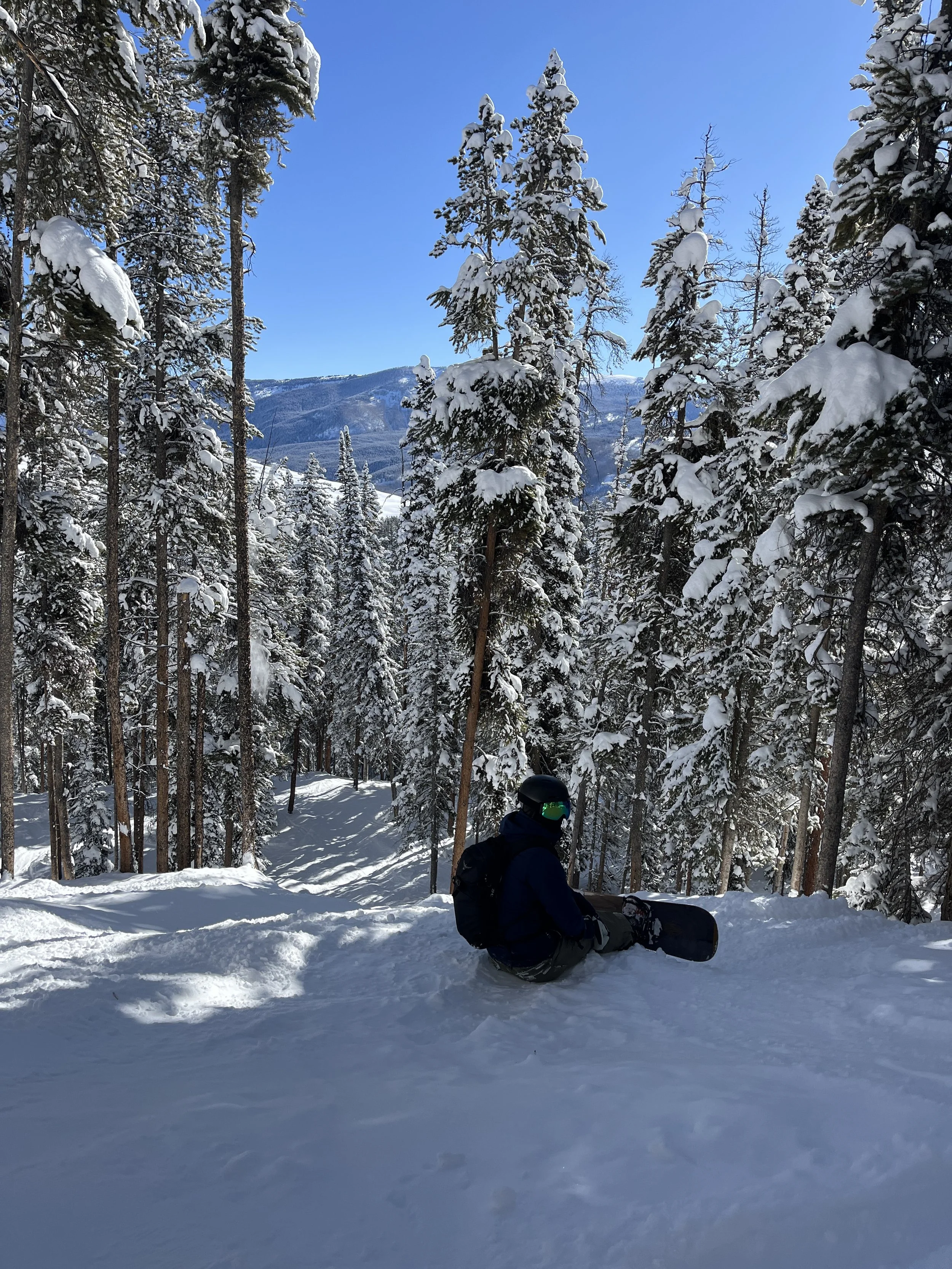 male snowboarder sitting in the snow surrounded by trees and a mountain in the background