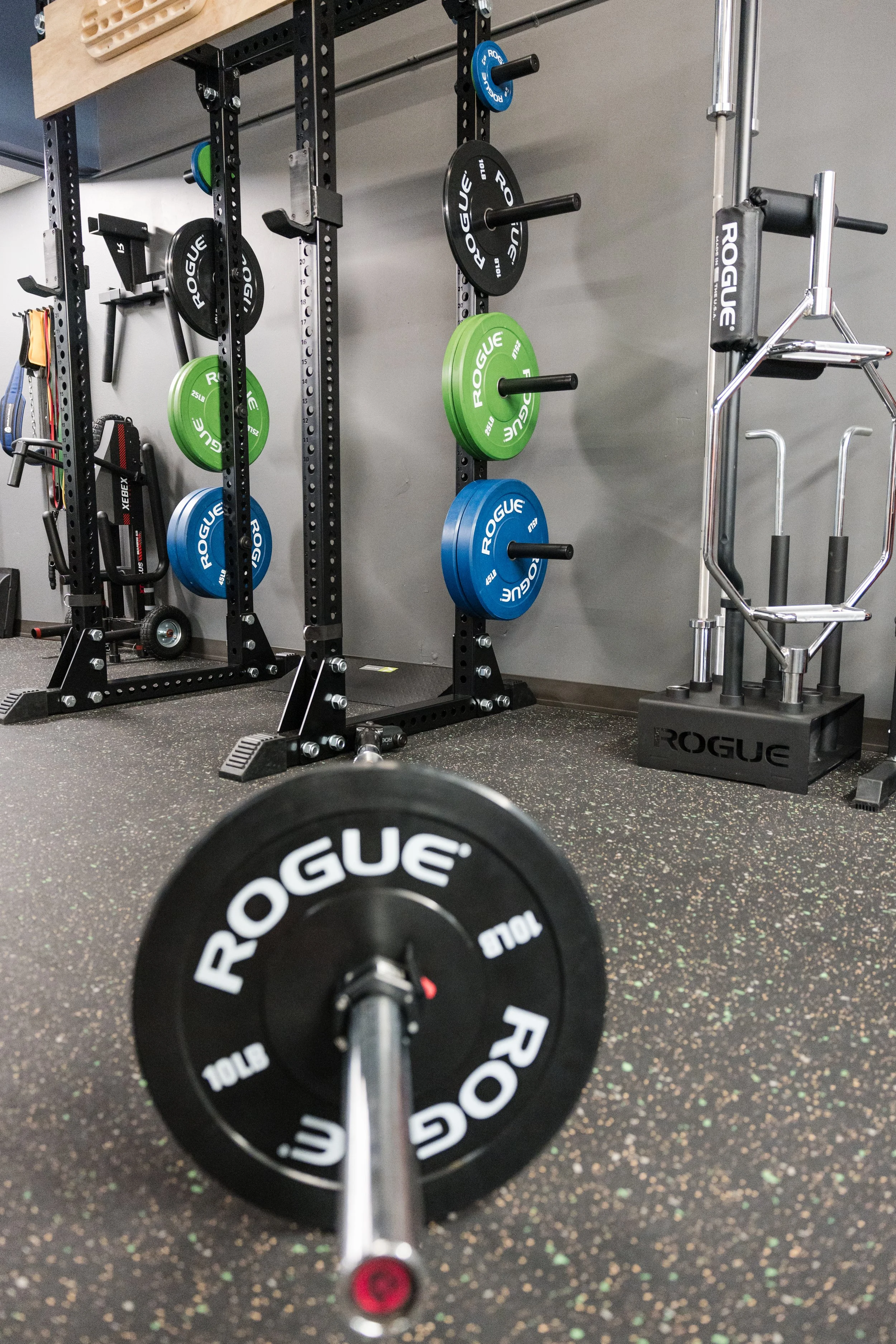 close up of a landmine set up in the gym with a weight plate and rack with weights in the background