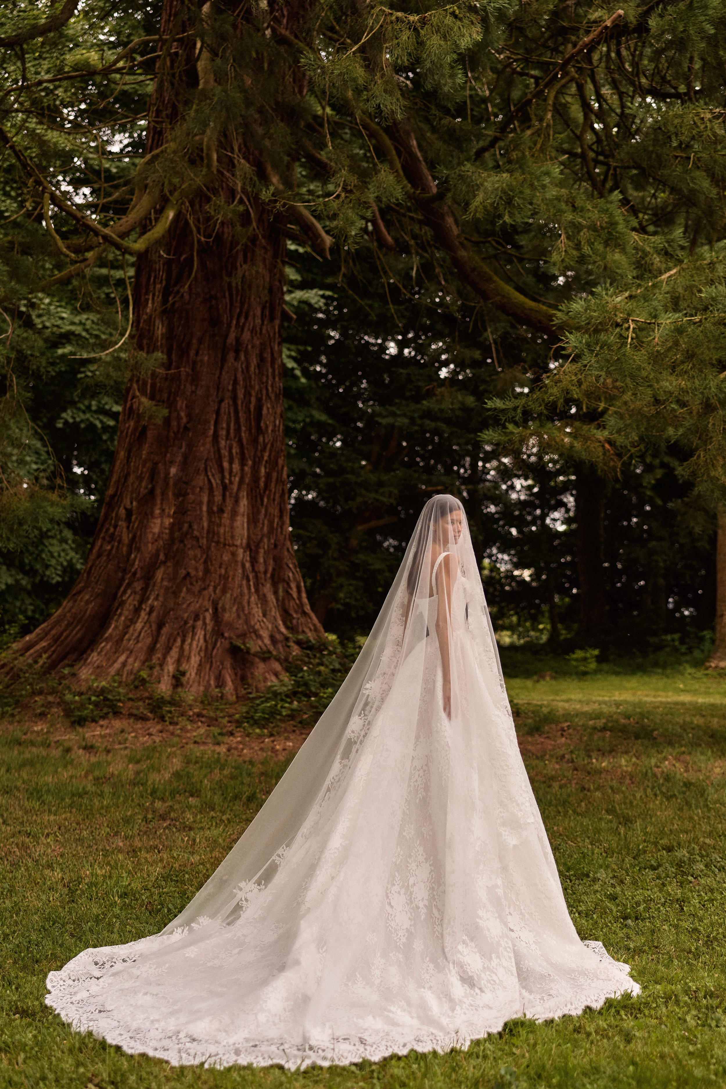 Milla Nova Elisora Veil.jpeg