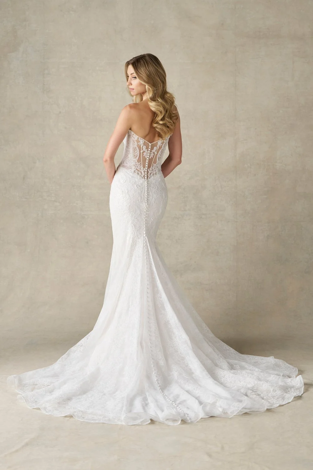 AllureBridals_A1481_Sheer Back Gown.jpg