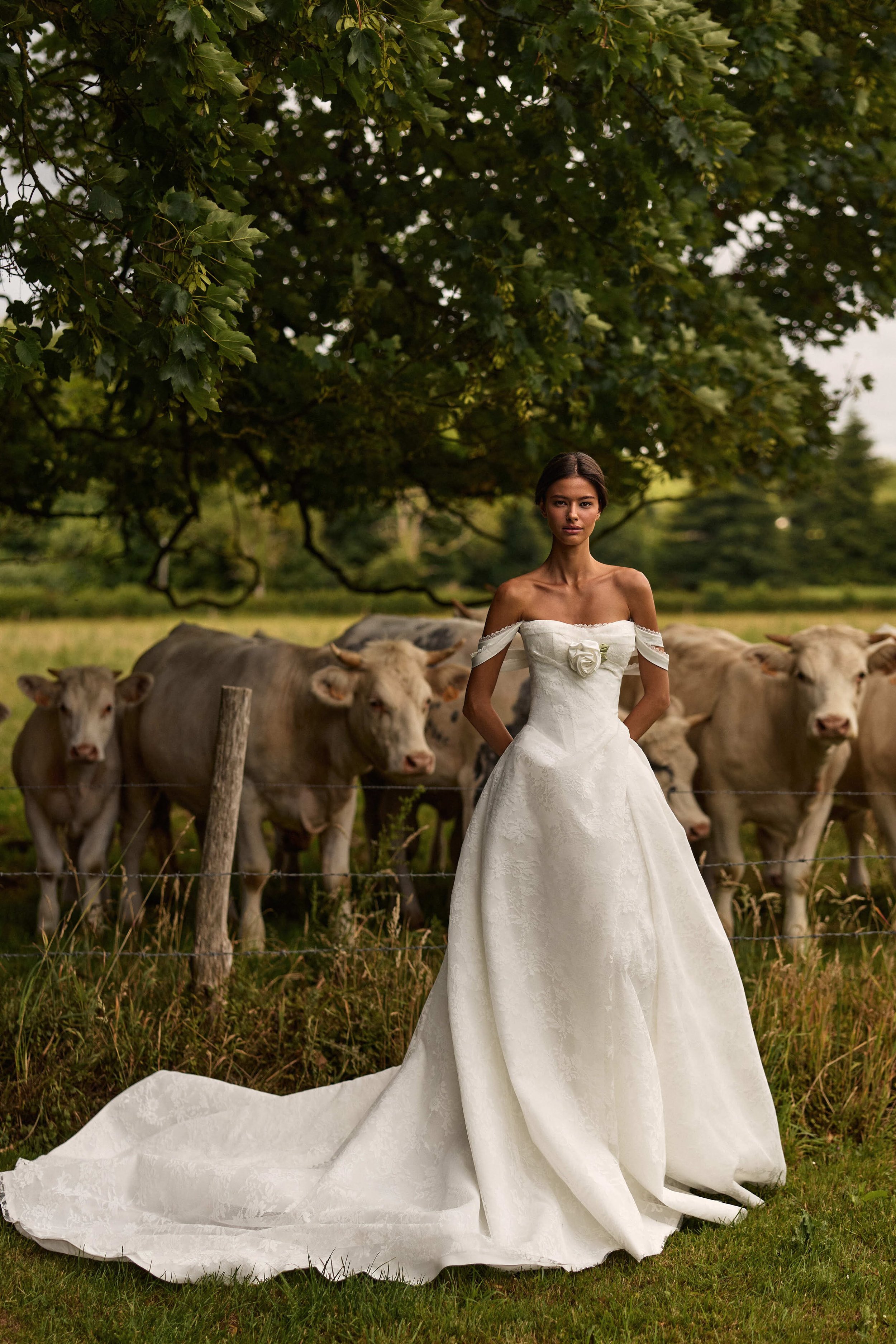 Averra_Lace off the shoulder ballgown .jpeg
