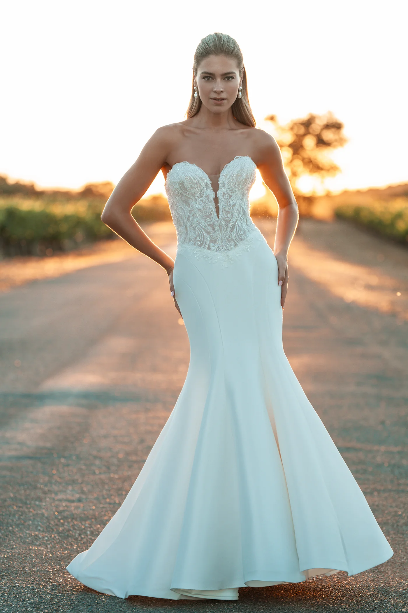 Allure Bridal-A1319-beaded fit and flare mermaid dress.jpg