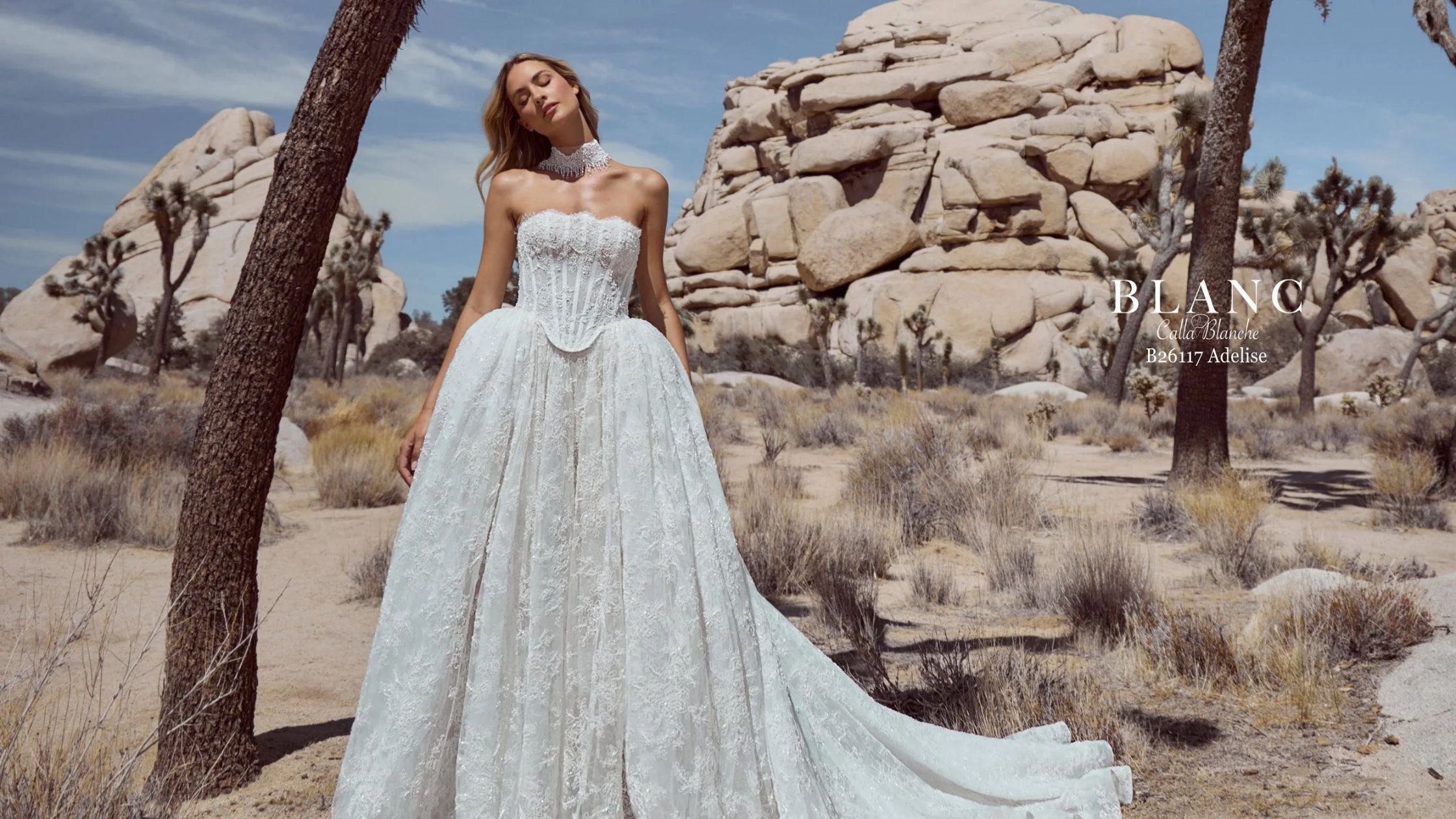 Bride in desert in strapless wedding gown