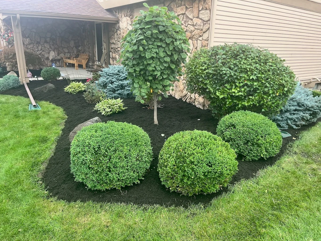 Mulch and Plant Installation