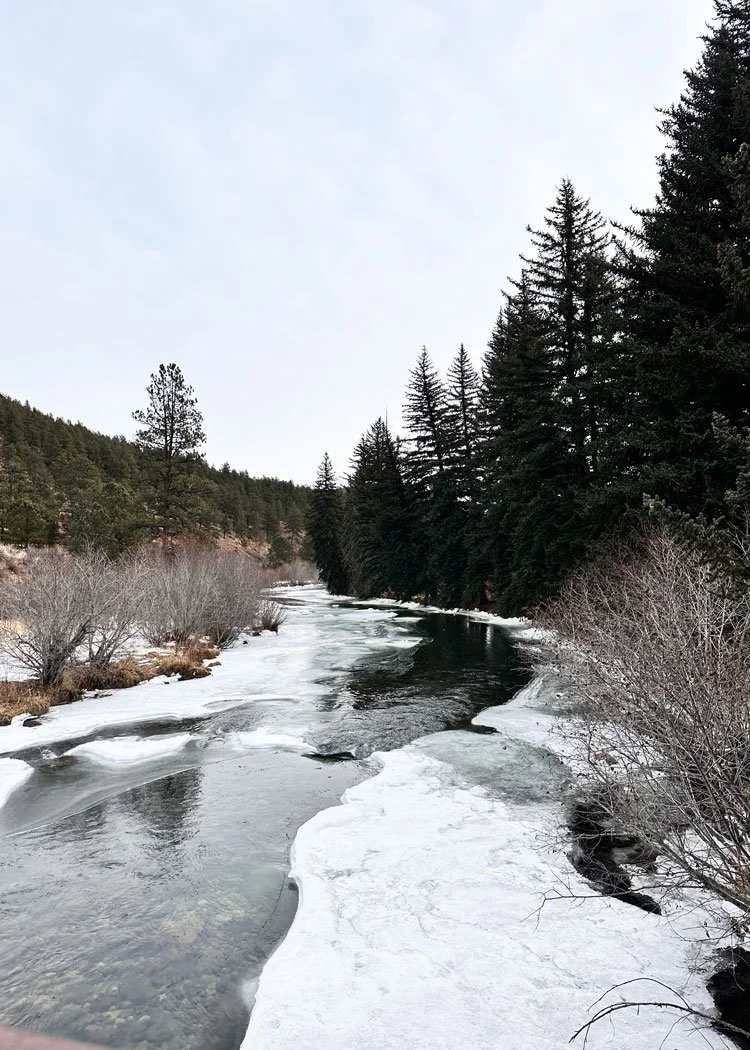 Photograph from Pine Valley Ranch in Pine Colorado, frozen river framed by pine trees.