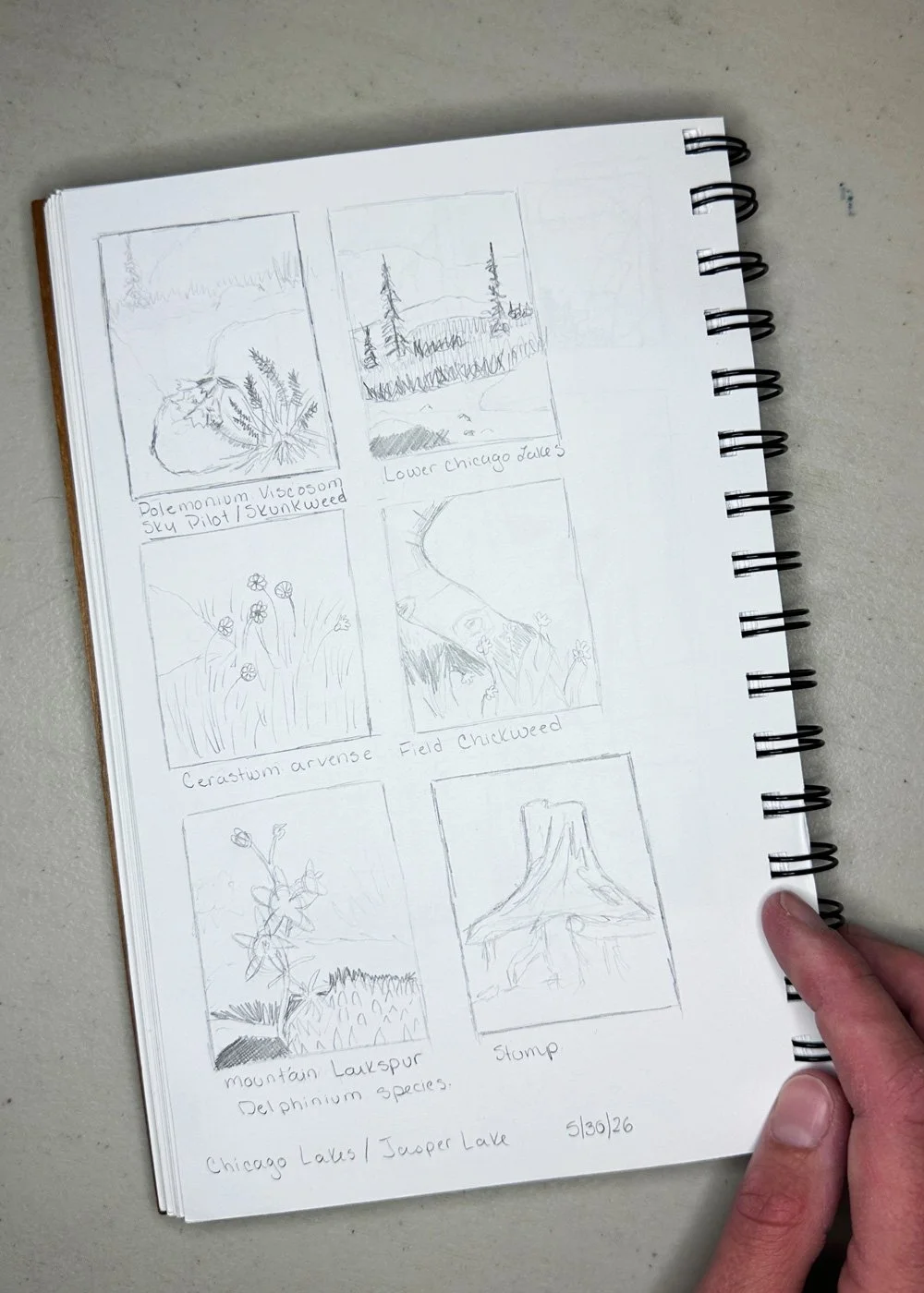 overhead of a sketchbook with thumbnail sketches