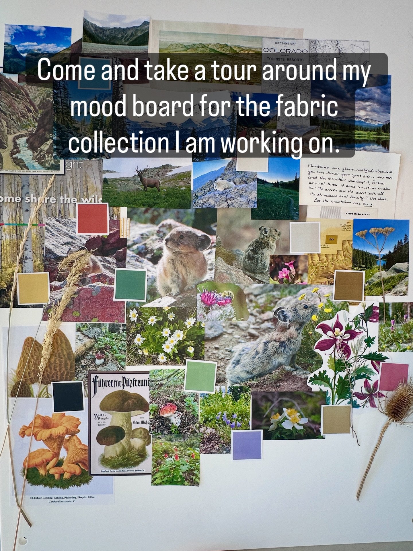 I haven&rsquo;t found mood boards very useful in the past, but I find myself coming back to this one over and over again as I build out this next collection. It&rsquo;s not only a reference for ideas and motifs, but it just makes me feel excited for 